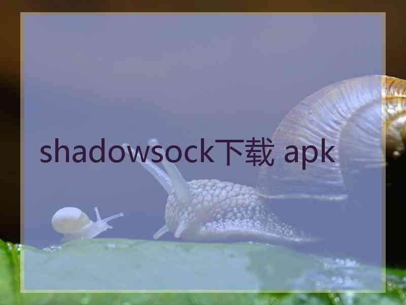 shadowsock下载 apk