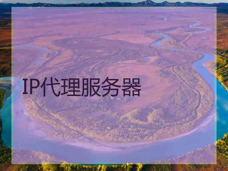 IP代理服务器