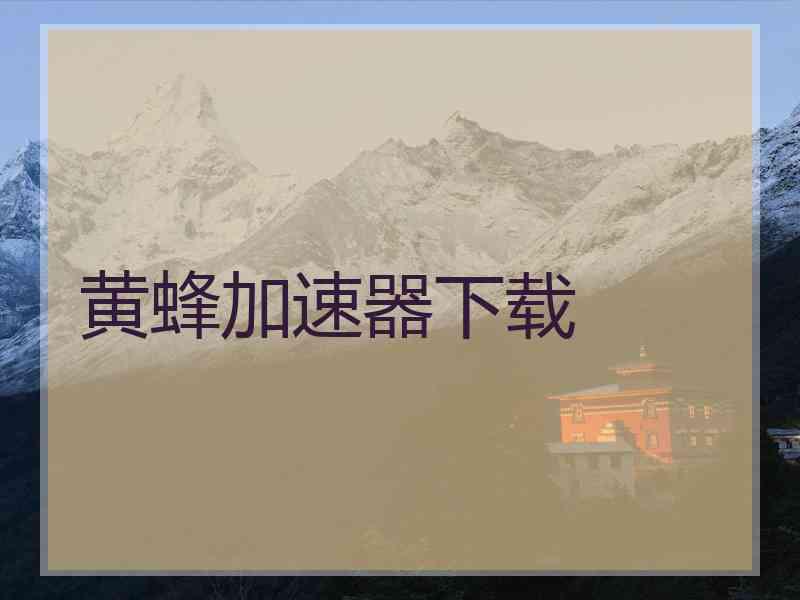 黄蜂加速器下载