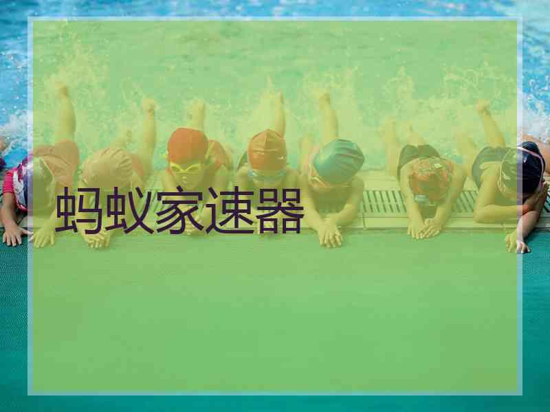 蚂蚁家速器