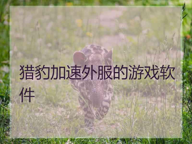 猎豹加速外服的游戏软件