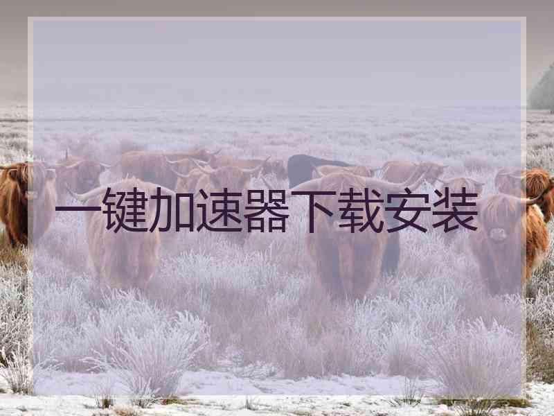 一键加速器下载安装