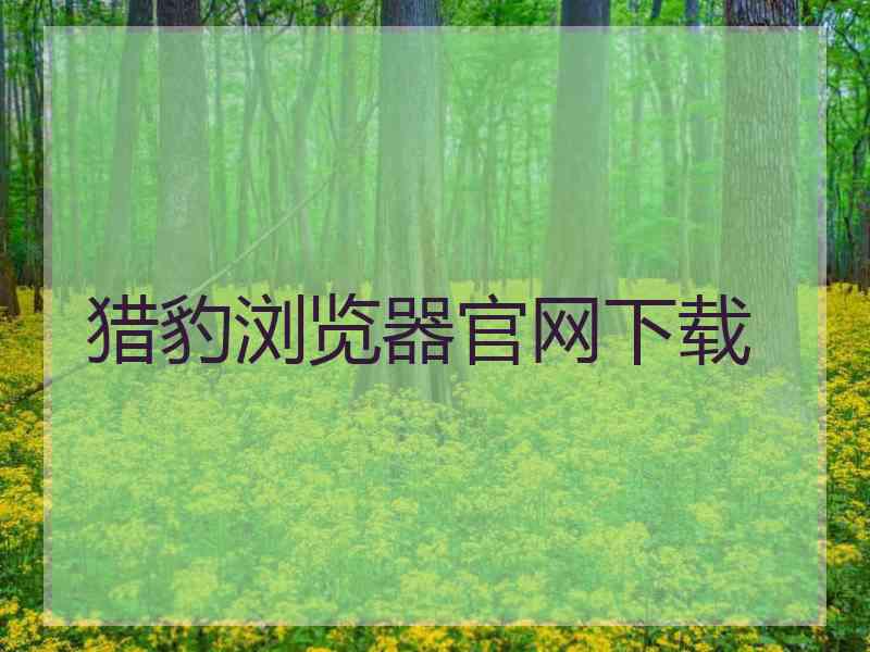 猎豹浏览器官网下载