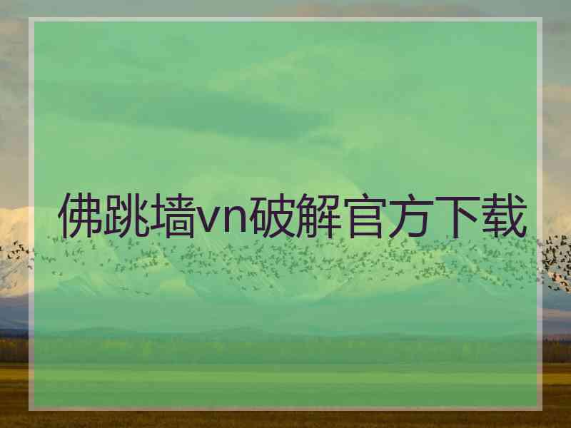 佛跳墙vn破解官方下载