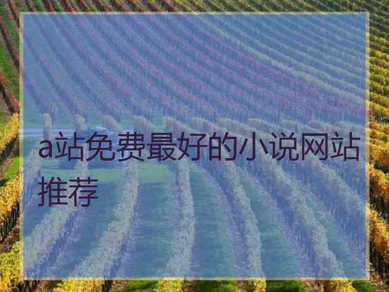 a站免费最好的小说网站推荐