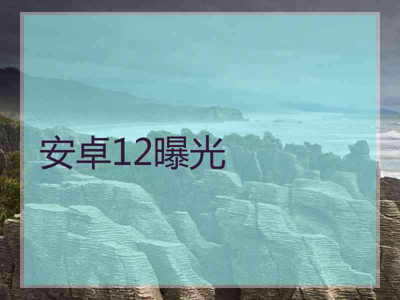 安卓12曝光