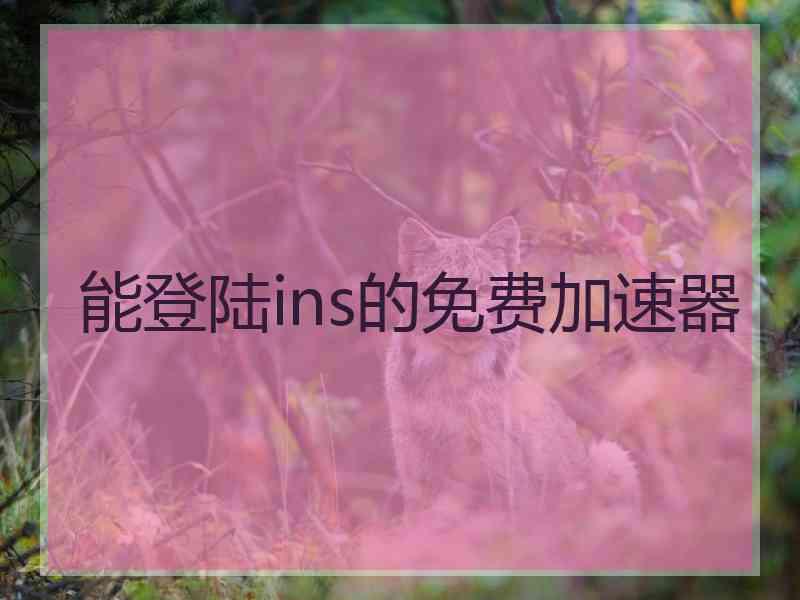 能登陆ins的免费加速器