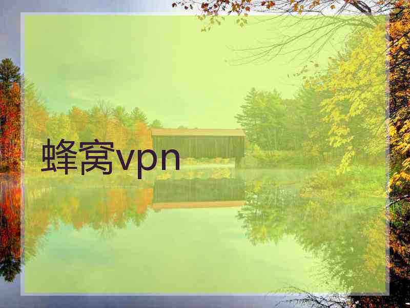 蜂窝vpn