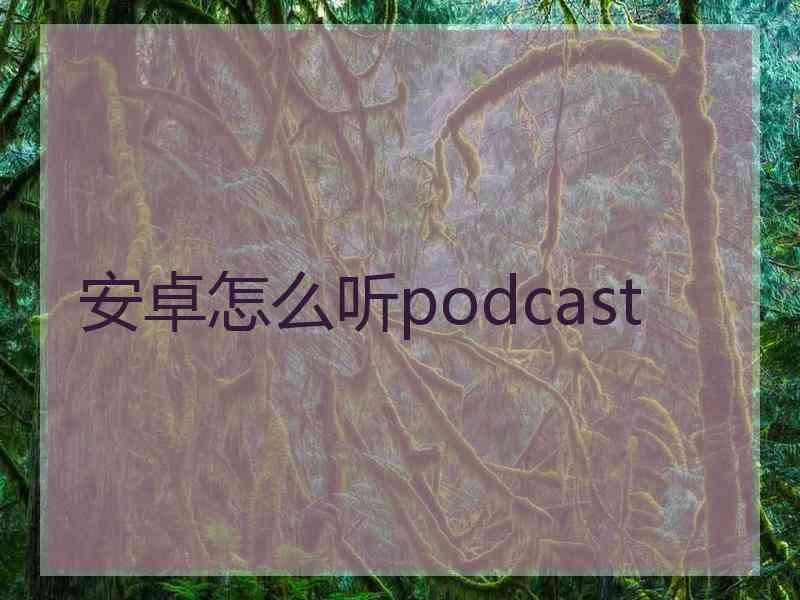 安卓怎么听podcast