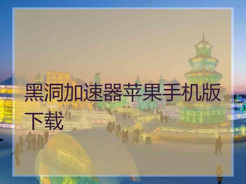 黑洞加速器苹果手机版下载