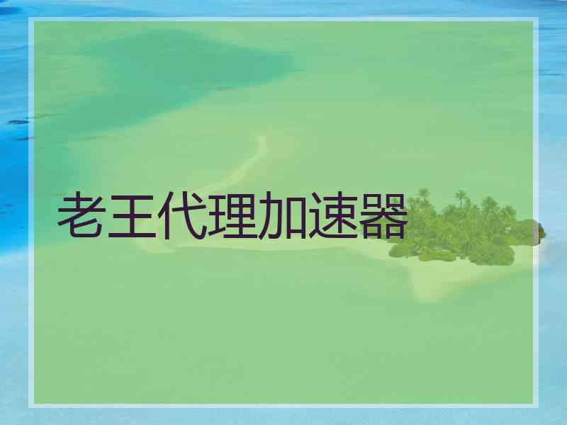 老王代理加速器