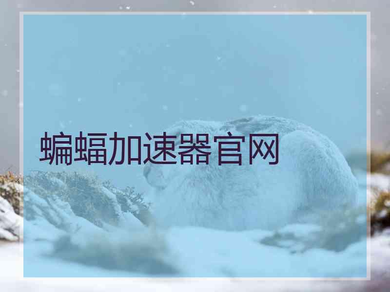 蝙蝠加速器官网