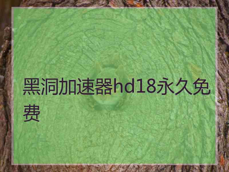 黑洞加速器hd18永久免费