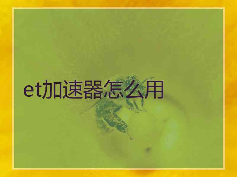 et加速器怎么用