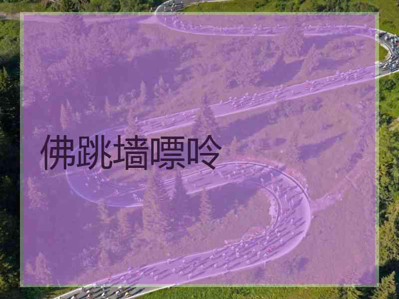 佛跳墙嘌呤