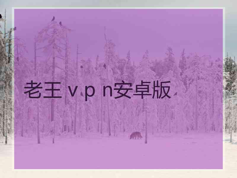 老王 v p n安卓版
