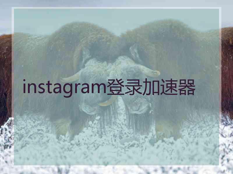 instagram登录加速器