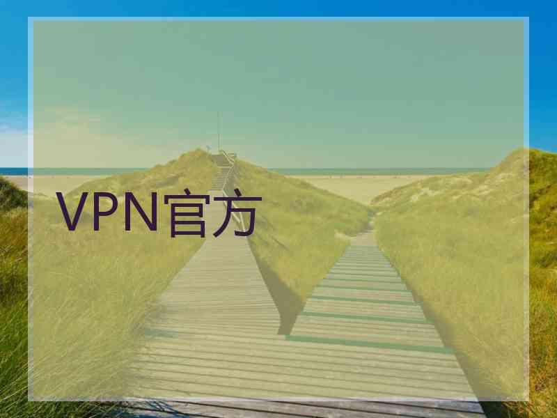 VPN官方