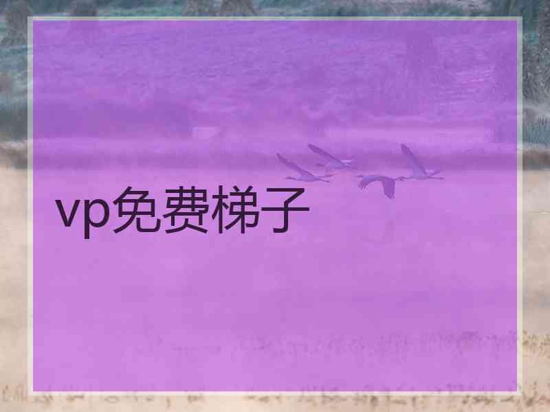 vp免费梯子