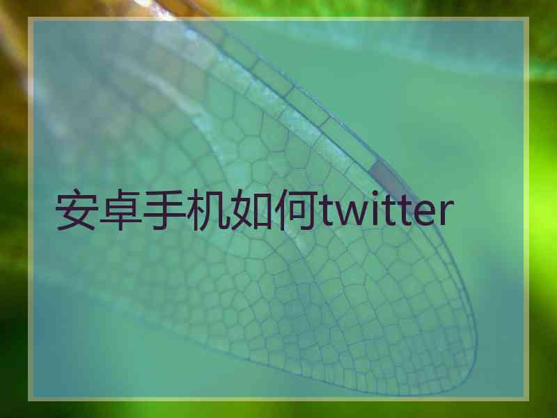 安卓手机如何twitter
