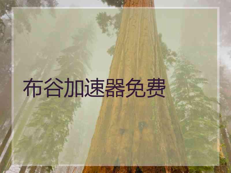 布谷加速器免费