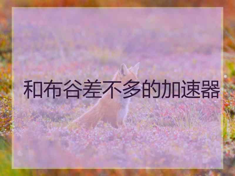 和布谷差不多的加速器