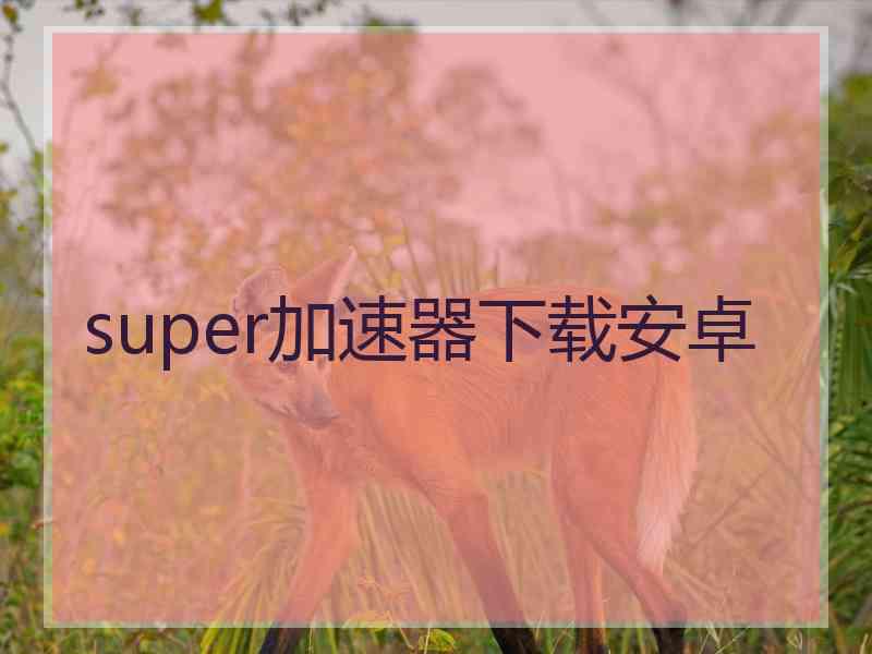 super加速器下载安卓