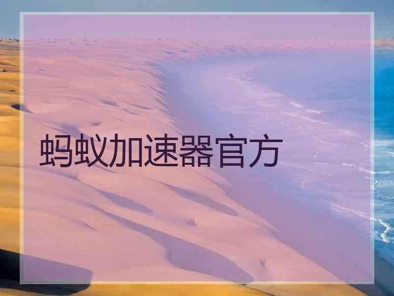 蚂蚁加速器官方