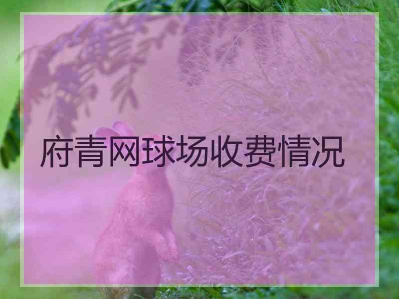 府青网球场收费情况
