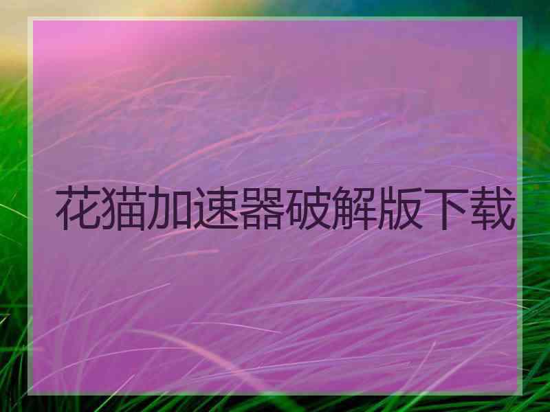 花猫加速器破解版下载