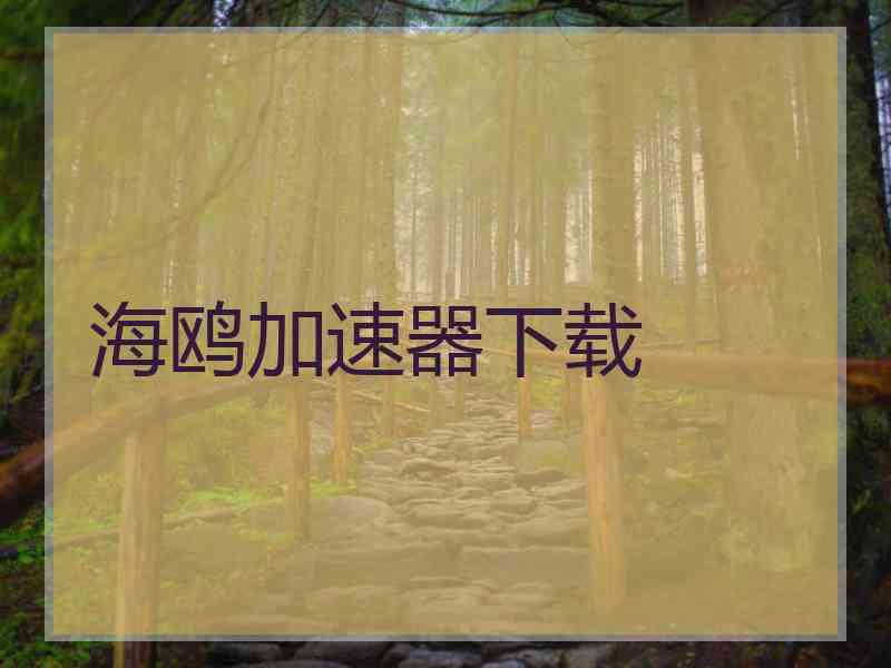 海鸥加速器下载
