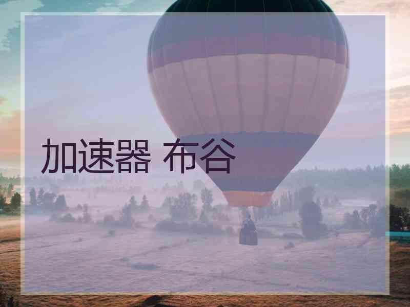 加速器 布谷