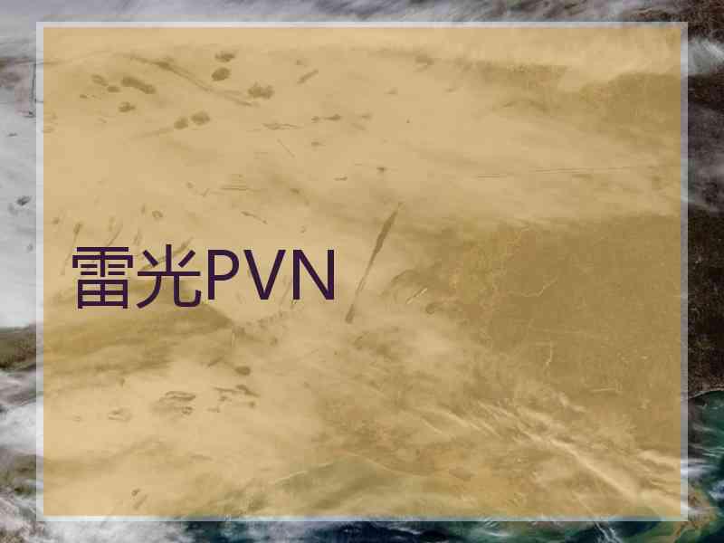 雷光PVN