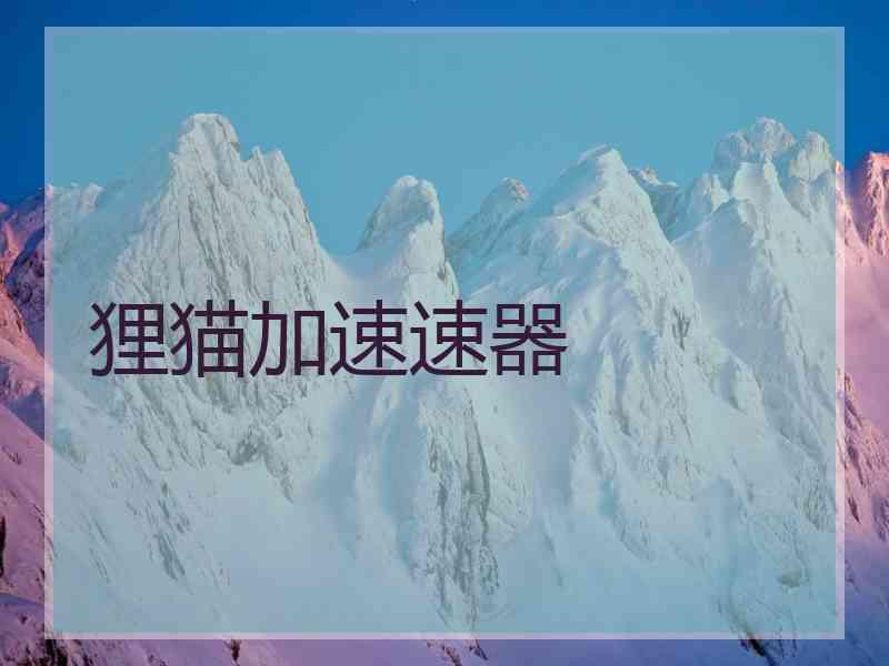 狸猫加速速器