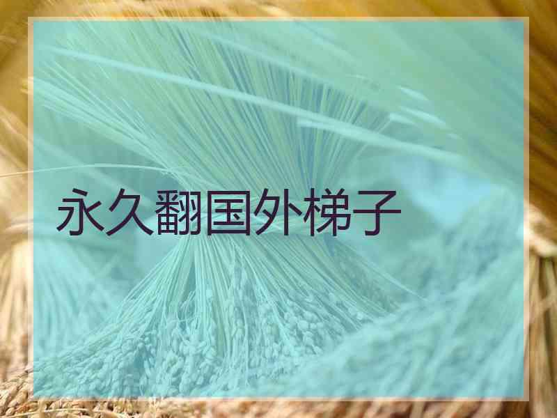 永久翻国外梯子