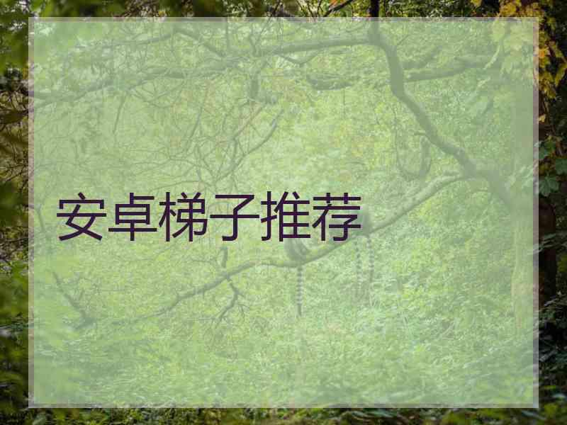 安卓梯子推荐