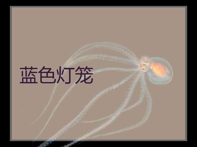 蓝色灯笼
