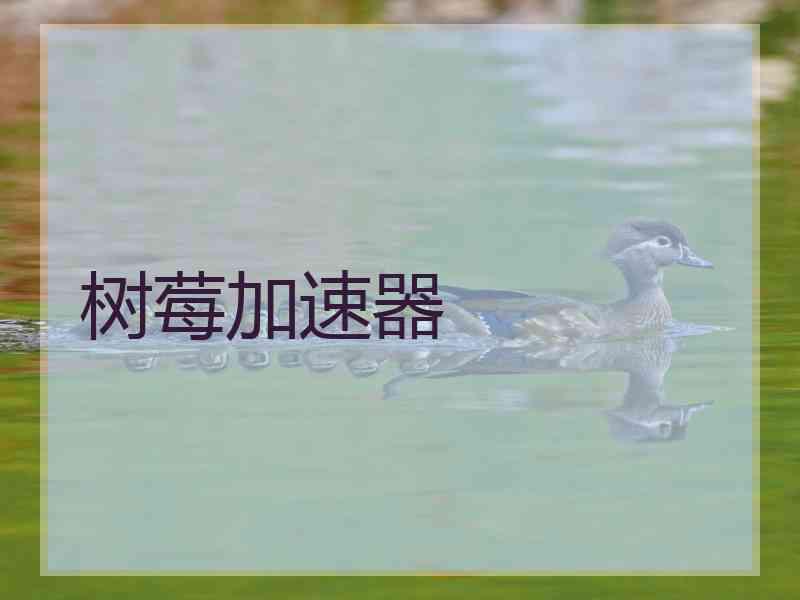 树莓加速器