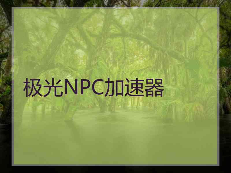 极光NPC加速器