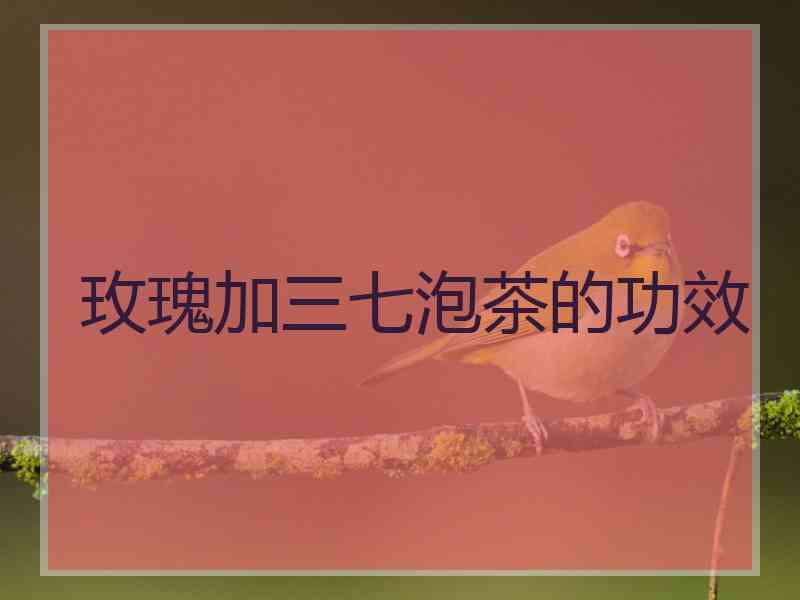 玫瑰加三七泡茶的功效