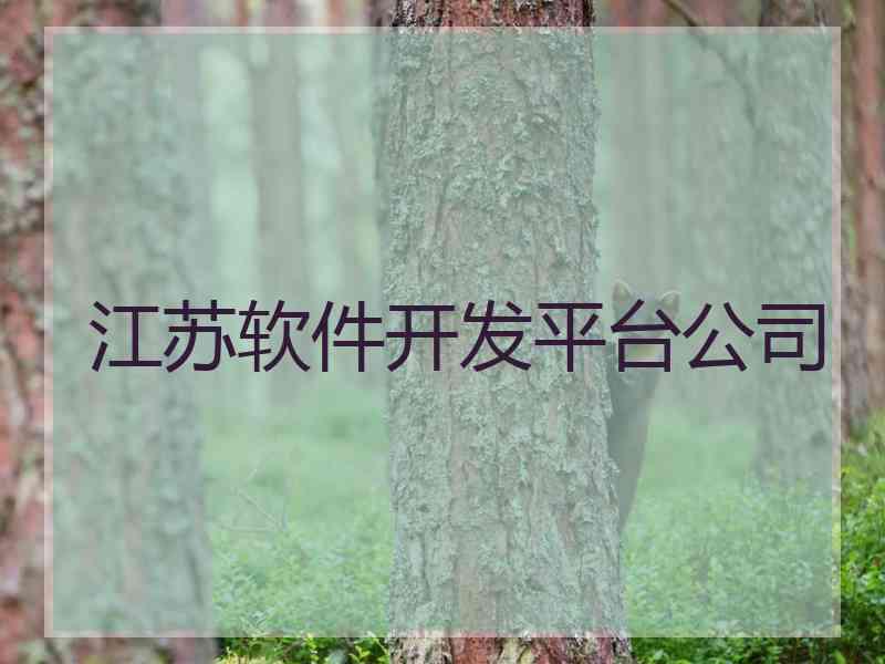 江苏软件开发平台公司
