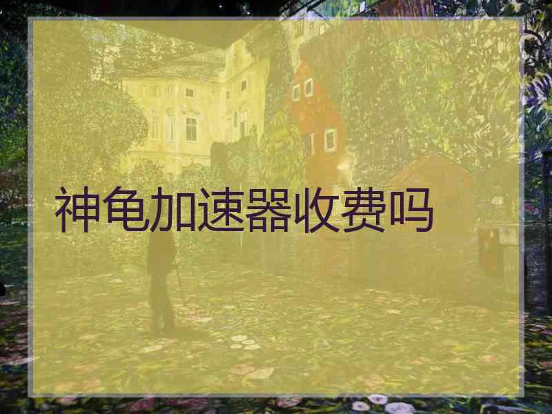 神龟加速器收费吗