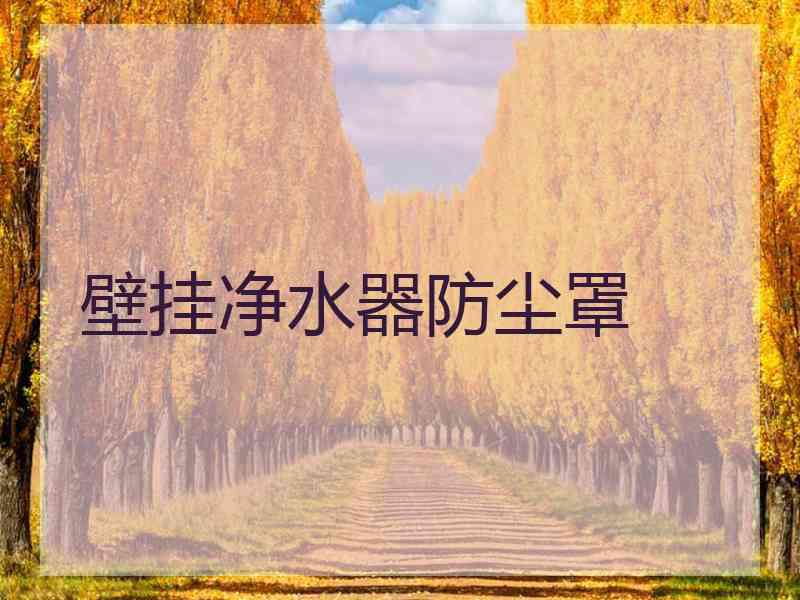 壁挂净水器防尘罩