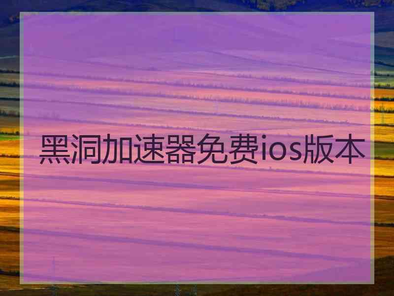 黑洞加速器免费ios版本