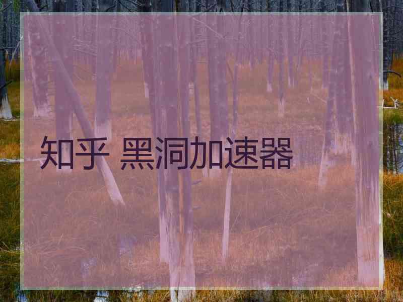 知乎 黑洞加速器