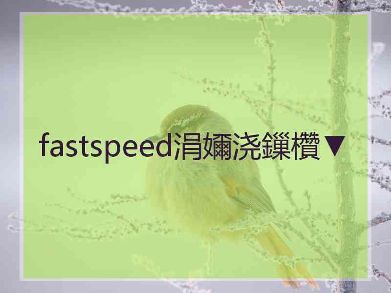 fastspeed涓嬭浇鏁欑▼