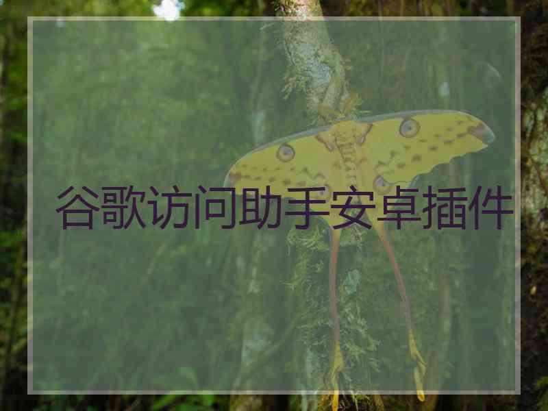 谷歌访问助手安卓插件