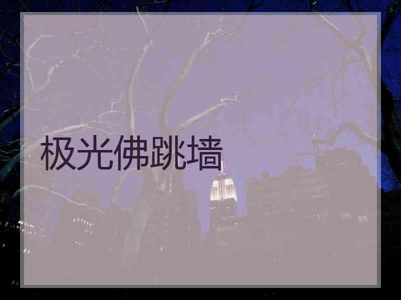 极光佛跳墙