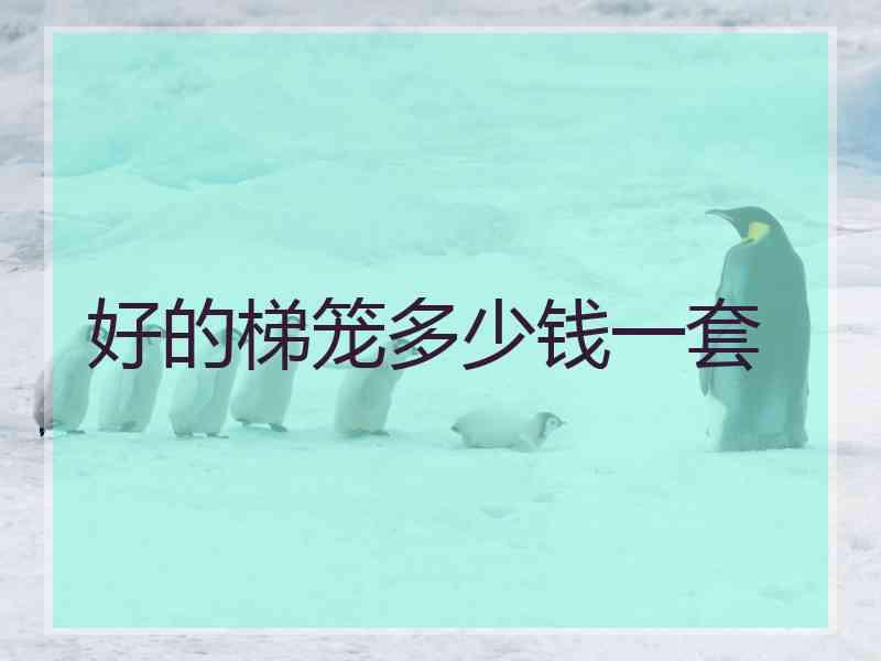好的梯笼多少钱一套