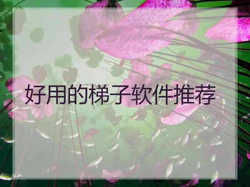 好用的梯子软件推荐